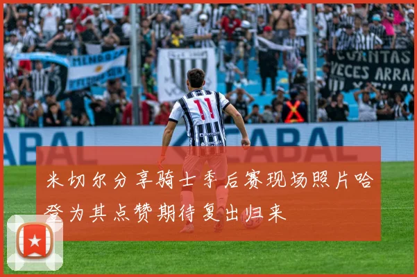 米切尔分享骑士季后赛现场照片哈登为其点赞期待复出归来