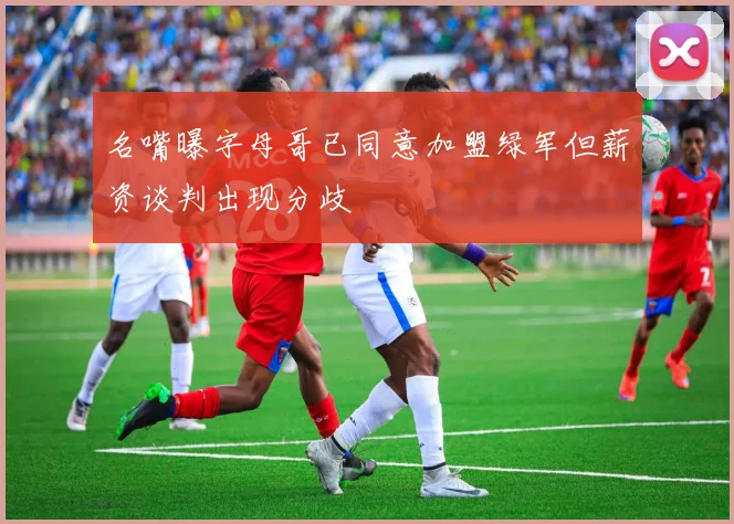 名嘴曝字母哥已同意加盟绿军但薪资谈判出现分歧